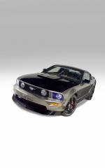 Ford Mustang GT 2005 года
